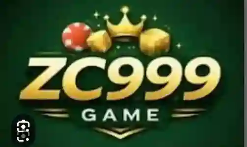 Zc999
